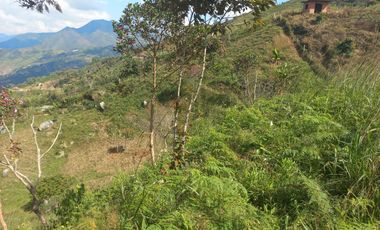 TE VENDO HERMOSO Y AMPLIO TERRENO EN BARBOSA ANTIOQUIA.