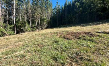 Hermosas Parcelas en Villarrica