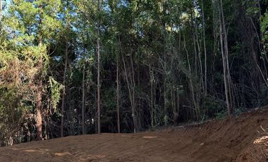 Hermosas Parcelas en Villarrica