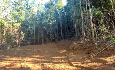 Hermosas Parcelas en Villarrica