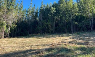 Hermosas Parcelas en Villarrica