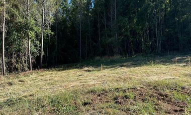 Hermosas Parcelas en Villarrica