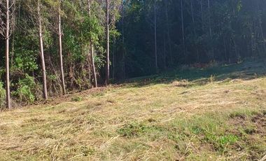 Hermosas Parcelas en Villarrica