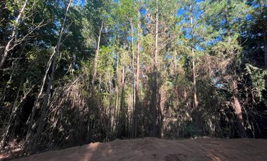 Hermosas Parcelas en Villarrica