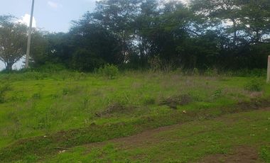 LOTE EN VENTA VALLE DE YUNGUILLA SECTOR PILLCOCAJA