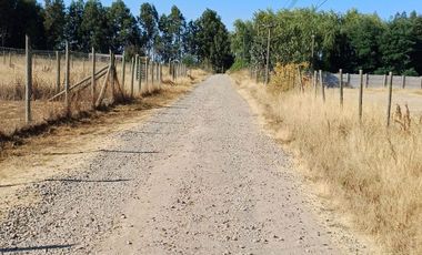 VENDO HERMOSA PARCELA DE 5.000 M2 EN TALCA A 10 KILOMETROS DE LA CARRETERA, CAMINO A SAN CLEMENTE
