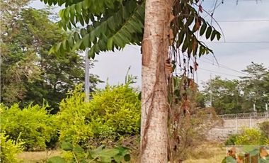 Venta de Excelente Terreno de 25,973 m2 Plano Mazatán Chiapas.