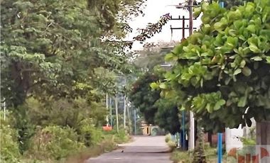 Venta de Excelente Terreno de 25,973 m2 Plano Mazatán Chiapas.