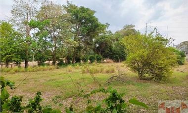 Venta de Excelente Terreno de 25,973 m2 Plano Mazatán Chiapas.