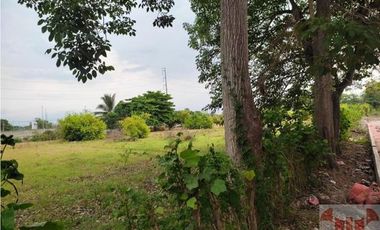 Venta de Excelente Terreno de 25,973 m2 Plano Mazatán Chiapas.