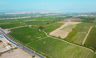Venta De Terreno En Herbay Alto En San Vicente De Cañete