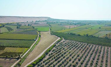 Venta De Terreno En Herbay Alto En San Vicente De Cañete