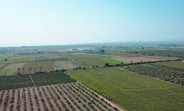 Venta De Terreno En Herbay Alto En San Vicente De Cañete