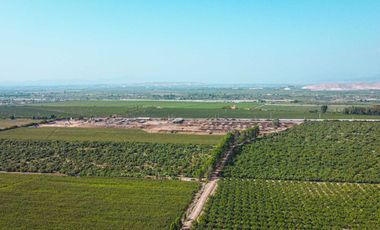 Venta De Terreno En Herbay Alto En San Vicente De Cañete