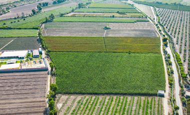 Venta De Terreno En Herbay Alto En San Vicente De Cañete