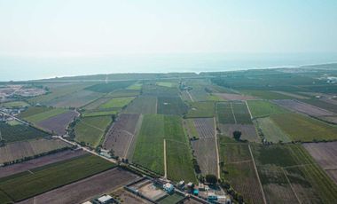 Venta De Terreno En Herbay Alto En San Vicente De Cañete