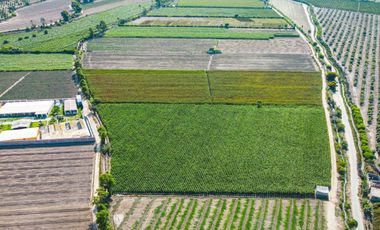 Venta De Terreno En Herbay Alto En San Vicente De Cañete
