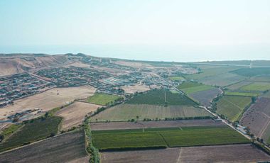 Venta De Terreno En Herbay Alto En San Vicente De Cañete