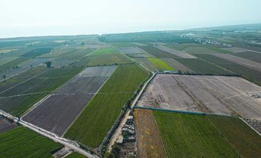 Venta De Terreno En Herbay Alto En San Vicente De Cañete