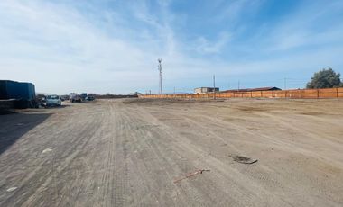 SE ARRIENDA TERRENO UNA HECTÁREA VILLA FRONTERA