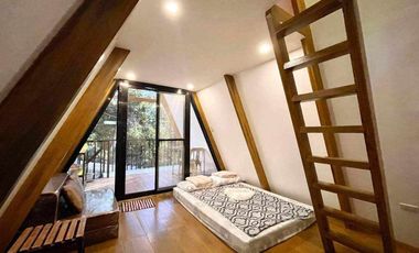 European-inspired cabin house