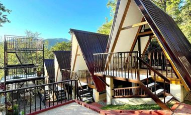 European-inspired cabin house