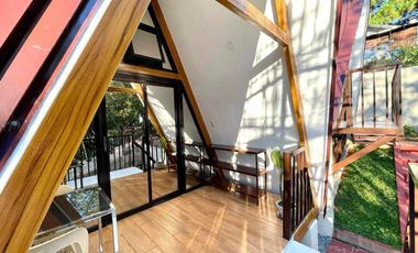 European-inspired cabin house