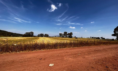 VENTA DE TERRENO EN PALOS ALTOS, ESTADO DE MÉXICO