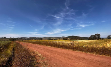 VENTA DE TERRENO EN PALOS ALTOS, ESTADO DE MÉXICO