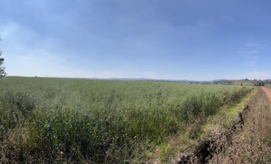 VENTA DE TERRENO EN PALOS ALTOS, ESTADO DE MÉXICO