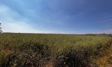 VENTA DE TERRENO EN PALOS ALTOS, ESTADO DE MÉXICO