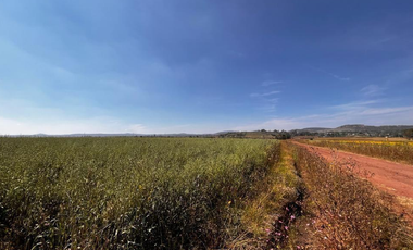 VENTA DE TERRENO EN PALOS ALTOS, ESTADO DE MÉXICO