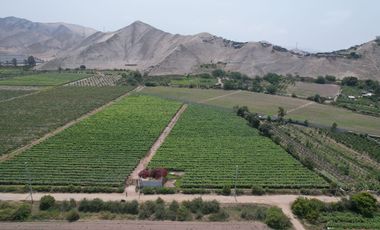 VENDO TERRENO 2.05 HA EN MALA - CAÑETE