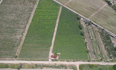 VENDO TERRENO 2.05 HA EN MALA - CAÑETE