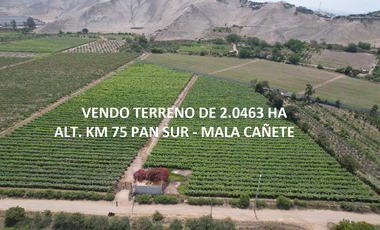 VENDO TERRENO 2.05 HA EN MALA - CAÑETE