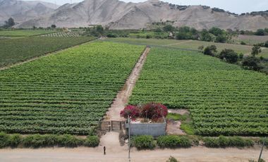 VENDO TERRENO 2.05 HA EN MALA - CAÑETE