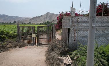 VENDO TERRENO 2.05 HA EN MALA - CAÑETE