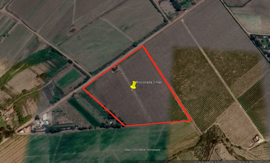 VENDO TERRENO 2.05 HA EN MALA - CAÑETE