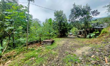 Jual Kebun Durian Siap Berbuah di Purwokerto Surat SHM