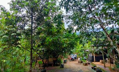 Jual Kebun Durian Siap Berbuah di Purwokerto Surat SHM