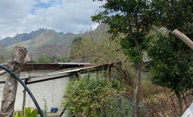 FINCA AVICOLA CHOACHI