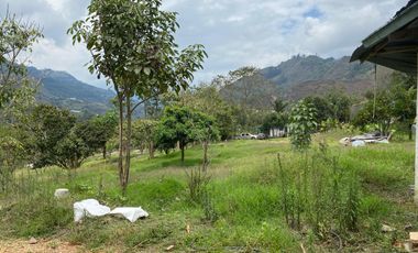 FINCA AVICOLA CHOACHI