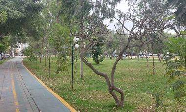 Departamento en 1er piso elevado San Borja