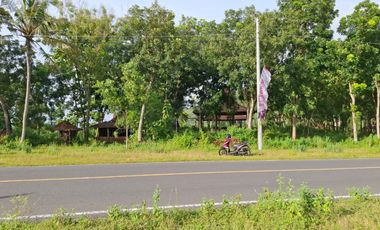 Jual tanah datar dekat pantai parangtritis kretek bantul Yogyakarta