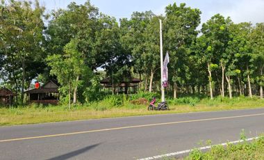 Jual tanah datar dekat pantai parangtritis kretek bantul Yogyakarta