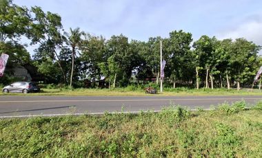 Jual tanah datar dekat pantai parangtritis kretek bantul Yogyakarta
