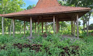 Jual tanah datar dekat pantai parangtritis kretek bantul Yogyakarta