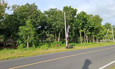 Jual tanah datar dekat pantai parangtritis kretek bantul Yogyakarta