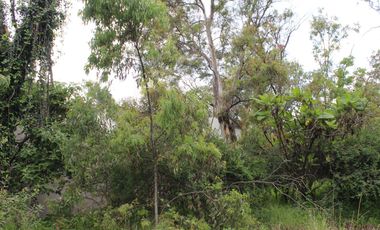 Lote (S) de Terreno en Venta en Bosques de Las Lomas con Gran Ubicación.