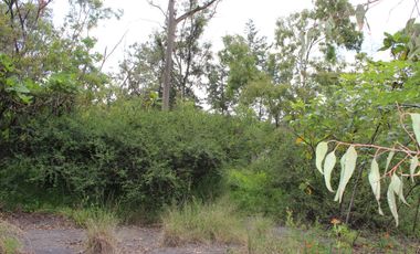 Lote (S) de Terreno en Venta en Bosques de Las Lomas con Gran Ubicación.